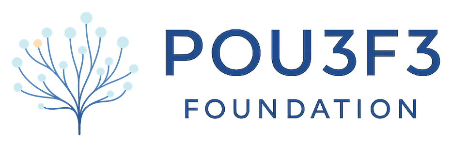 POU3F3 Foundation